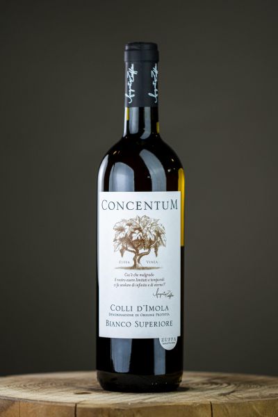 Concentum | Albana 2016